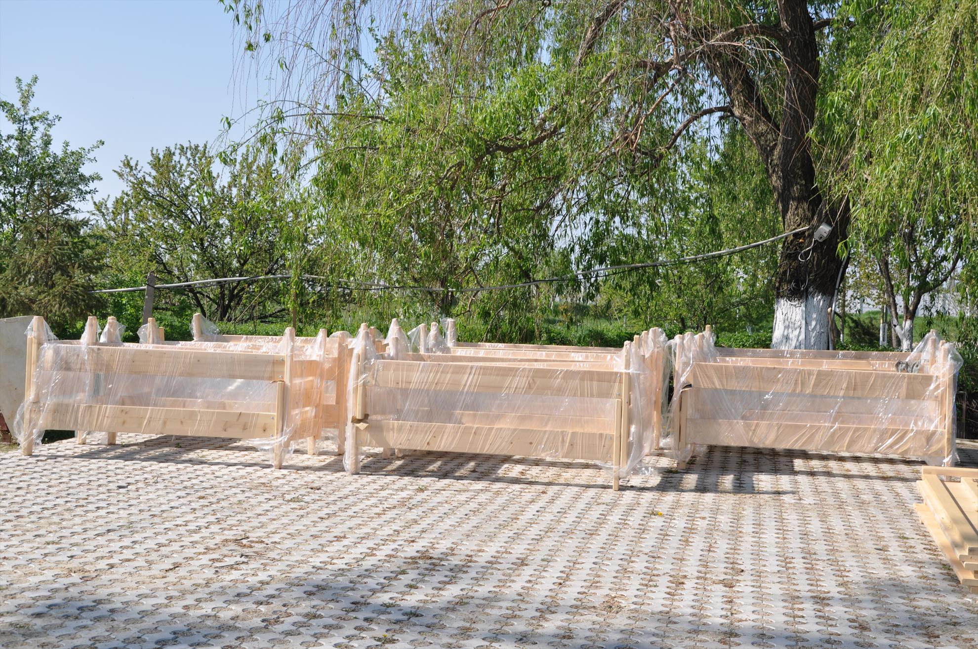 GALERIE FOTO TROFEUL USAMV - PLEASA 4 - dsc0786.JPG